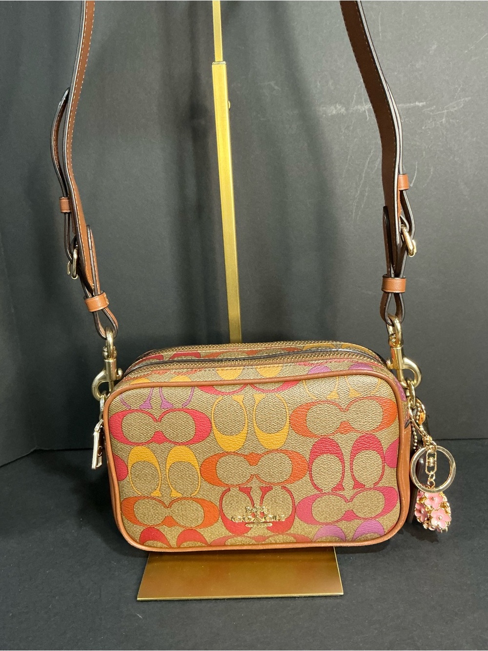 Coach Jes Crossbody 20 in Rainbow Signature Canvas